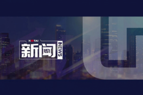 AI驱动新增长，扣非净利提升10%，3003.com新葡的京数码2025一季度稳健开局